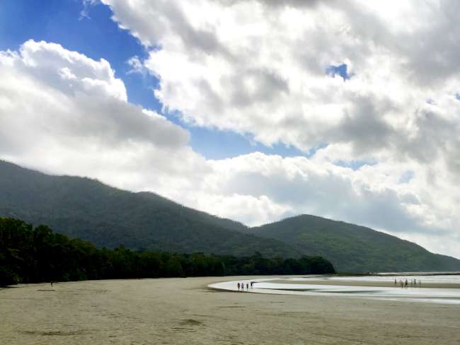 Cairns, Campers, and Cape Tribulation...