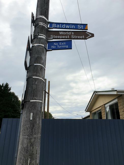 Steilste Straße der Welt in Dunedin 