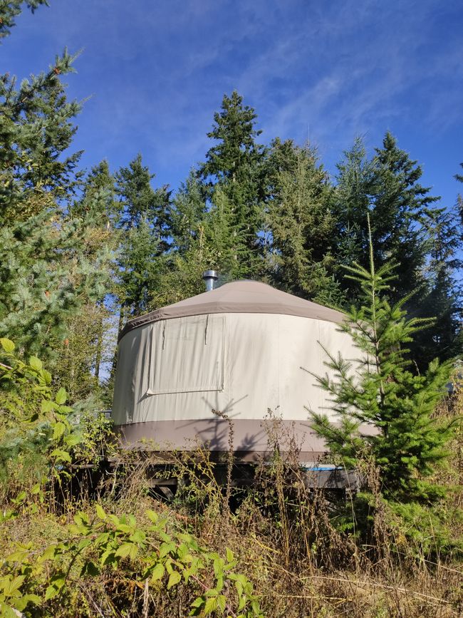 Mein Yurt
