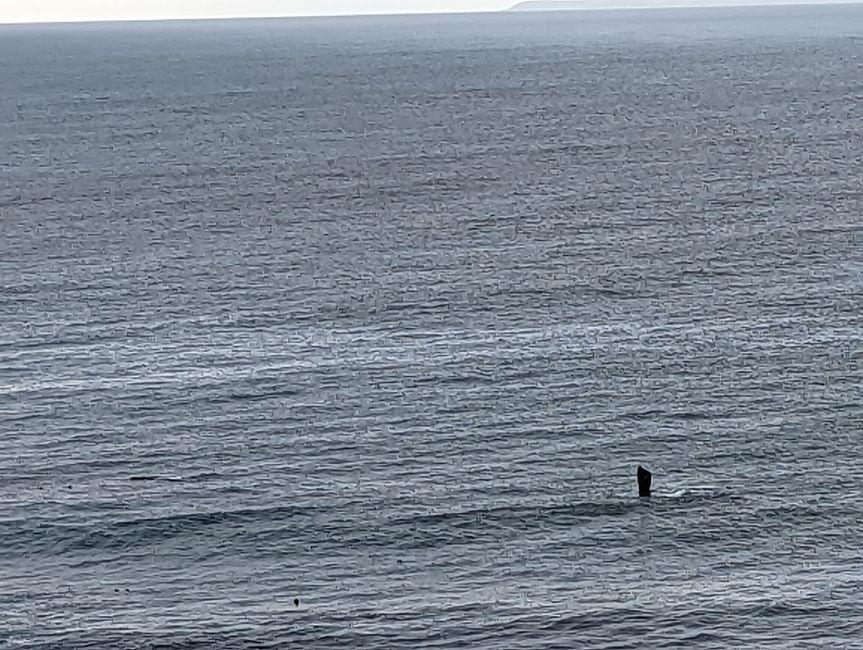 D'Oudtshoorn à Hermanus - avec un détour dans le 'Midwest'