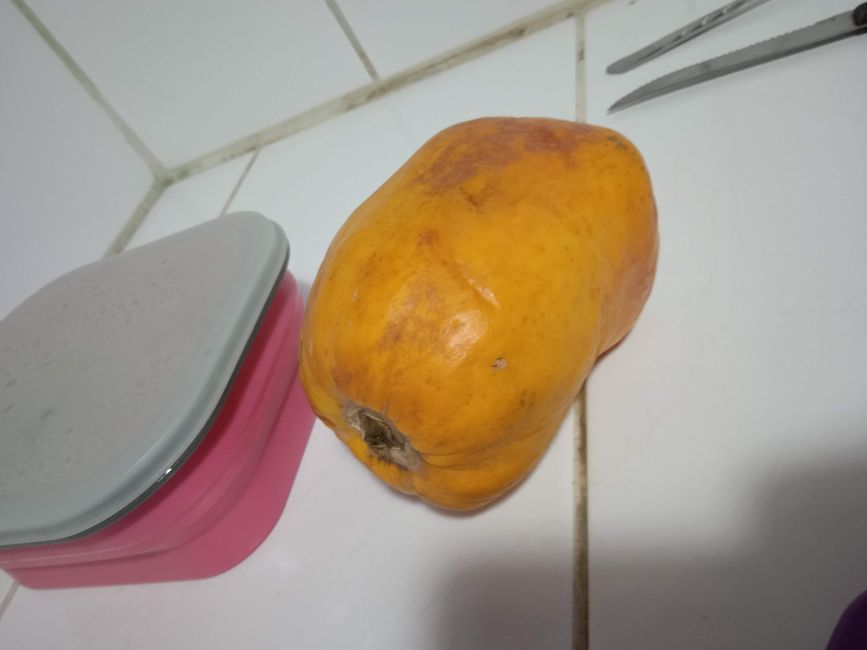 Tagesgericht / Comida del dia: Papaya (klein) ...