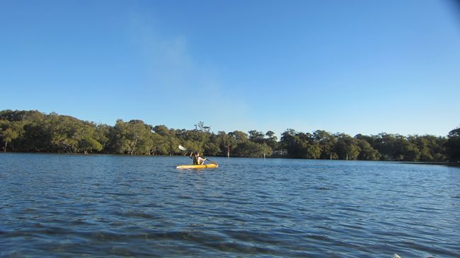 Kayaking near Tasty Treats