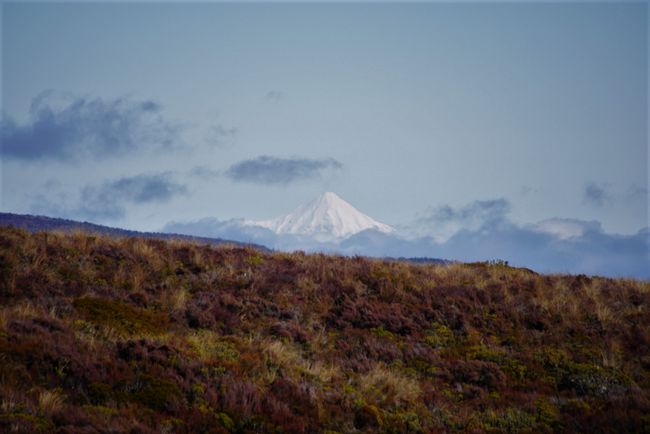 Mount Taranaki in der Ferne