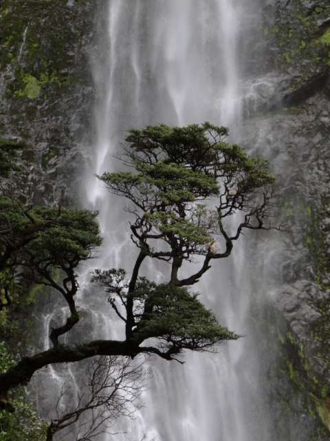 Wasserfall im Arthur's Pass National Park