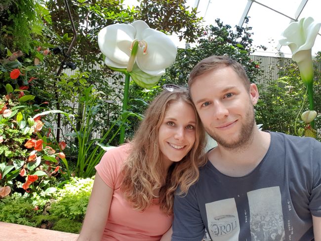 Singapour & Cairns