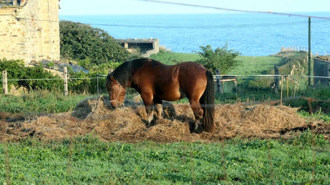 26. Etappe Tapia de Casariego nach Vilela