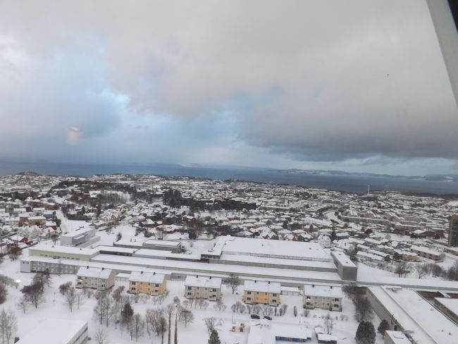 Aussicht aus dem Tyholt Tower, 74 m Höhe! (3 Fotos!)
