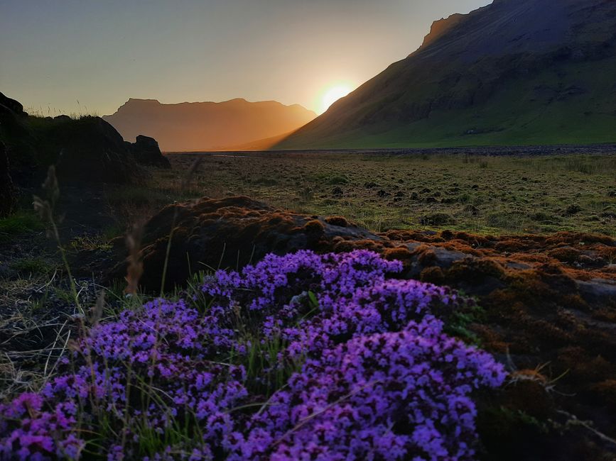 如果中途停留让您大吃一惊——冰岛！