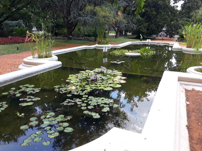 Jardín Botánico 