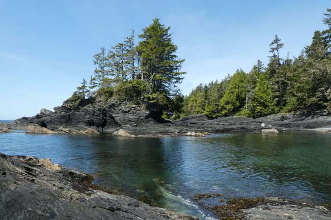 Botanical Beach in Port Renfrew