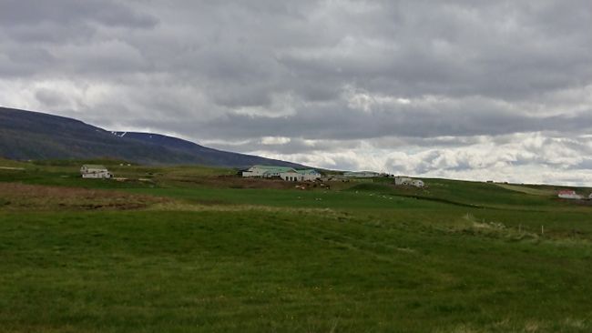 View of the farm