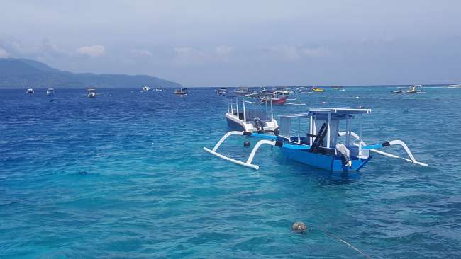 Schnorcheln im Turtle - Paradies Gili Inseln