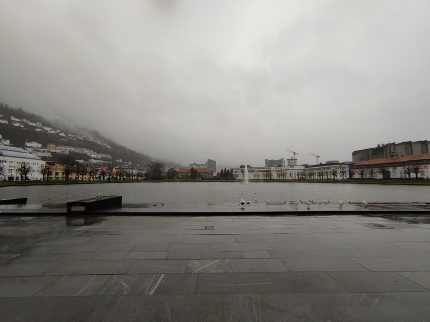 Bergen - Festplatz
