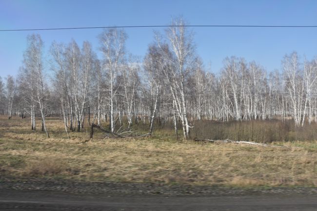 On the Transsib to Krasnoyarsk