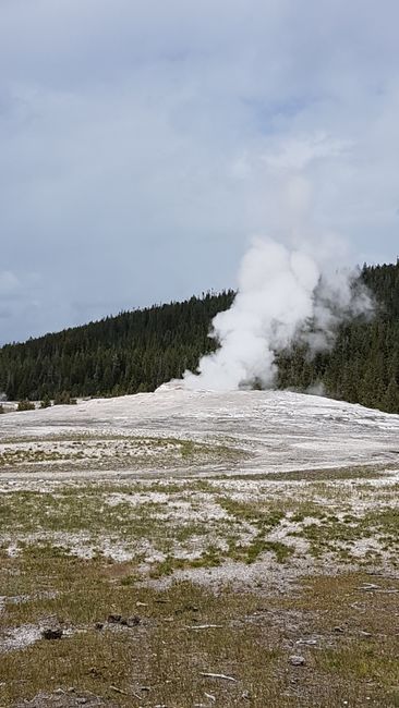 Day 9: Yellowstone National Park