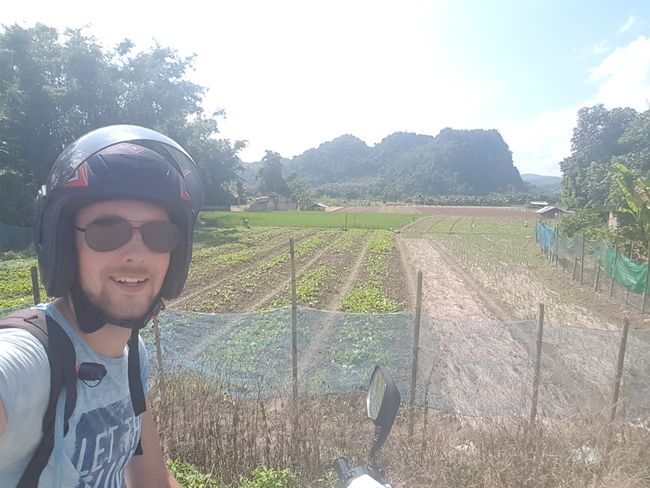 A pretty long tour with the scooter to the northern border of Thailand.