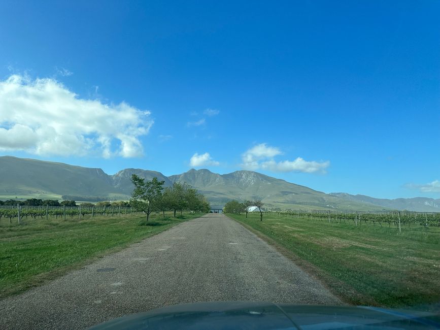 Hermanus ♥️