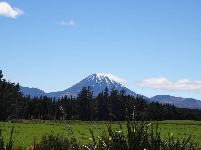Nordinsel Neuseeland: Vulkane, Geysire und Sanddünen