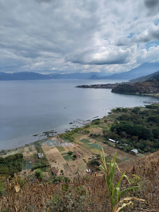 El vuelo del colibrí