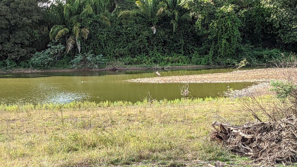 Aufenthalt im Süd Pantanal (Zusammenfassung)