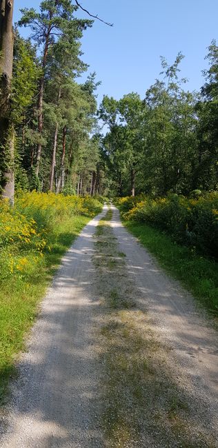 Isar Cycle Path