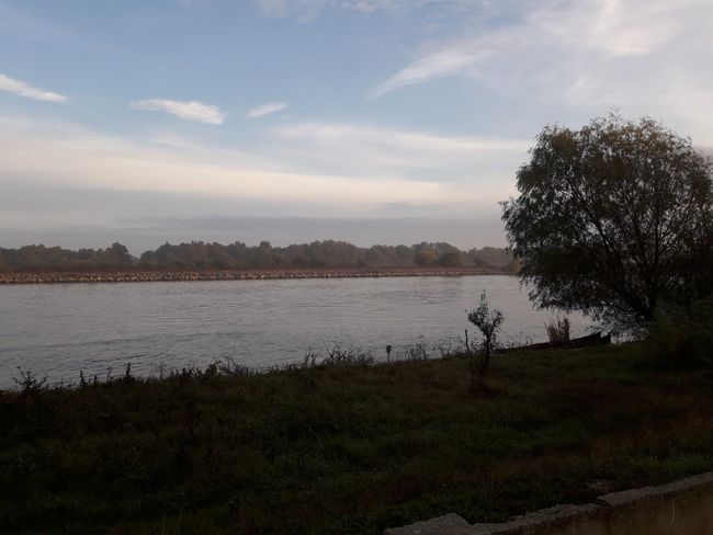 Sulina branch of the Danube near Gorgova