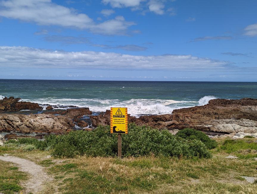 Hermanus / Cliff Path und die eigentliche "Walhauptstadt" Gansbaai