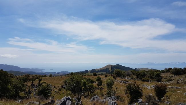 Nelson Tasman und Marlborough Sounds