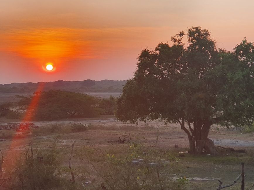 Parque Nacional Yala - Sri Lanka