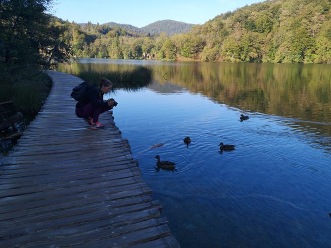 Plitvice Lakes: Lotti, the duck whisperer