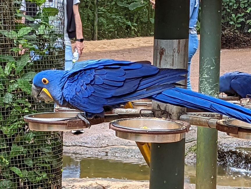 07.06.2022 - Vogelpark und Wasserfälle