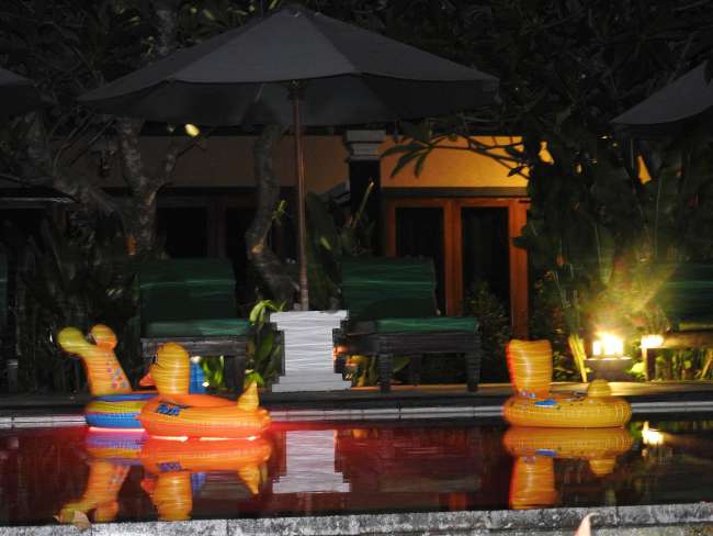 17.-24.11.2016 Bali # Skipping after fruits'n fun & Arak attack