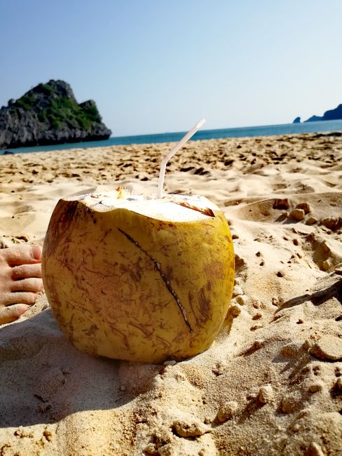 Coconut love 