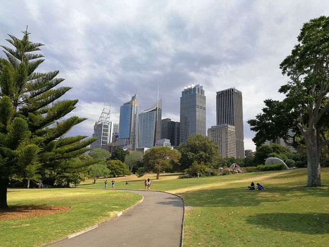 Sydney City Blick aus dem Royal Botanic Garden