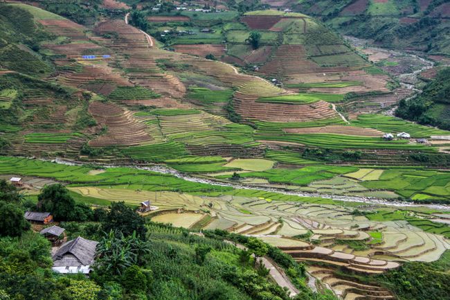 Tag 98: Patchwork of rice terraces as far as the eye can see