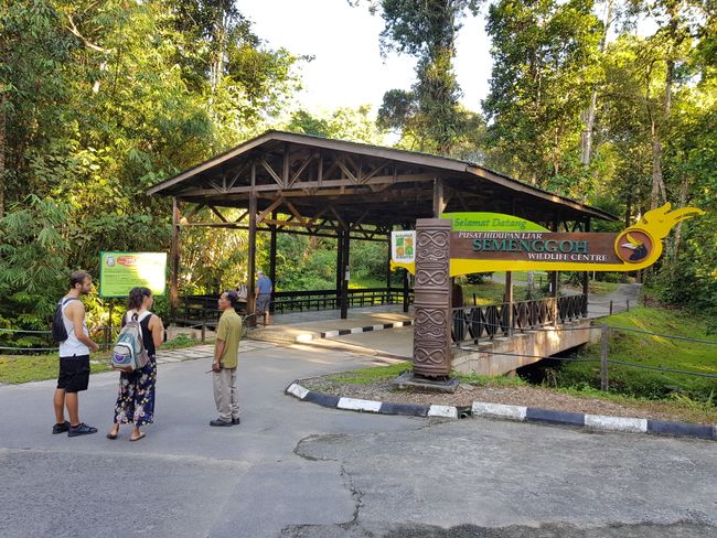 Der Eingang des Wildlife Center und zugleich die erste Futterstation für die ausgewilderten Orang Utan
