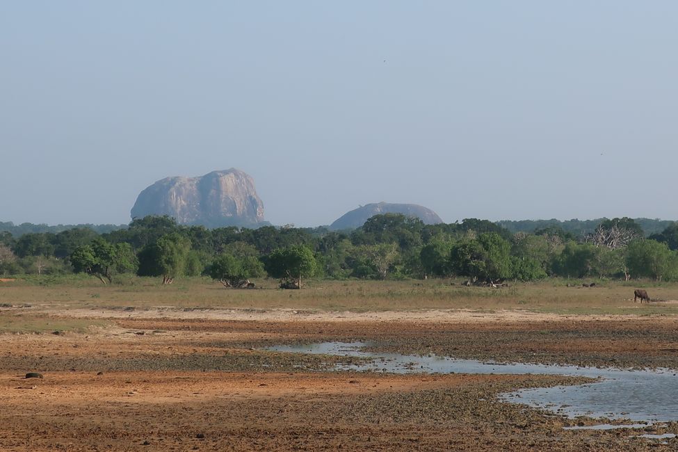 Yala National Park - Sri Lanka