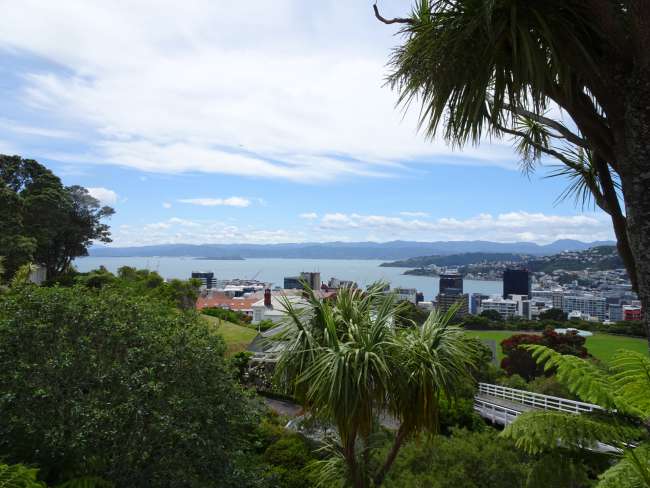 Wellington from the botanic garden ouch