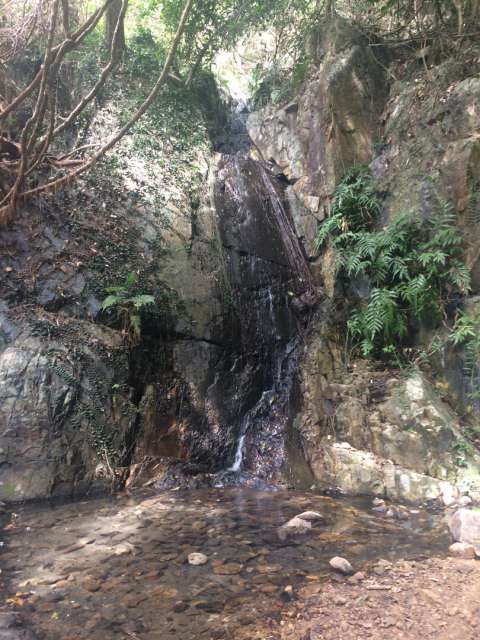 Hongkong Trail Sec. 4