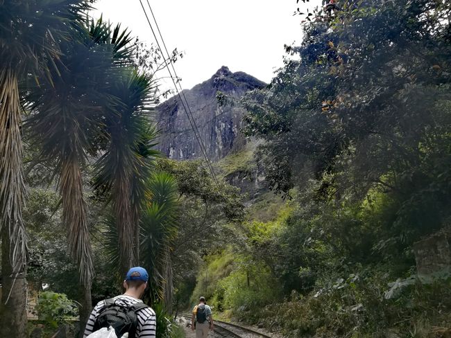 Inca Jungle Trek Machu Picchuun