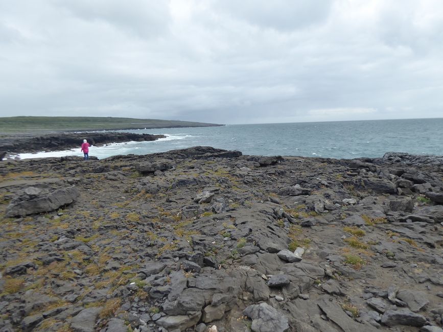 The Burren: Caherconnell Fort, Pulnabrone און מער