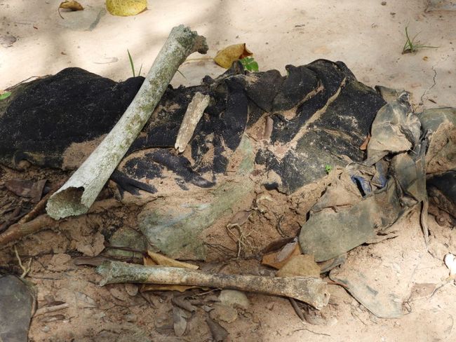 Even today, bones and clothing remnants emerge from the mass graves due to rain and weather!