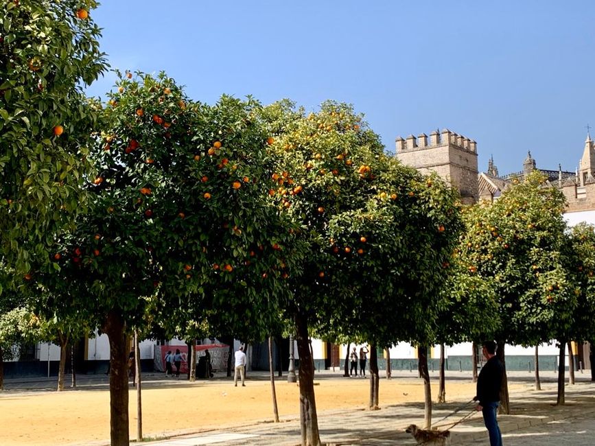 Traumstadt Sevilla