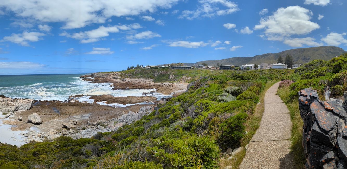 Hermanus / Cliff Path und die eigentliche "Walhauptstadt" Gansbaai