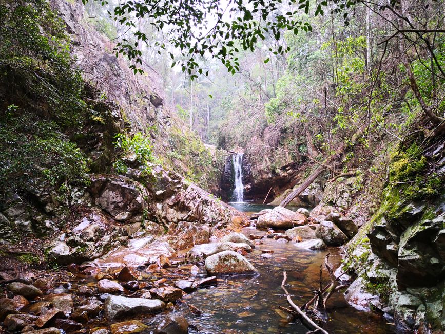 Ereignisreiche Wanderung zu den Cronan Creek Falls