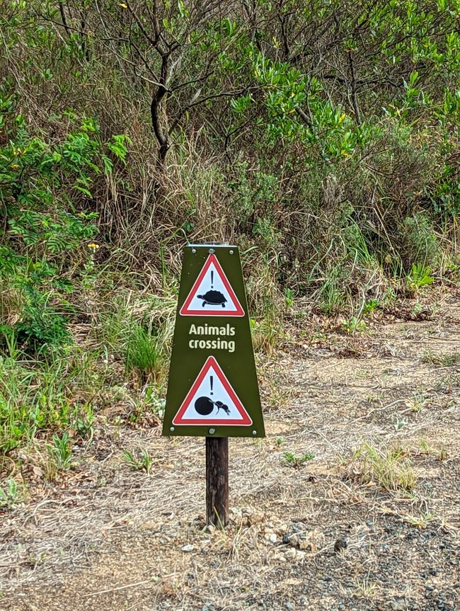 Parc marin d'iSimangaliso