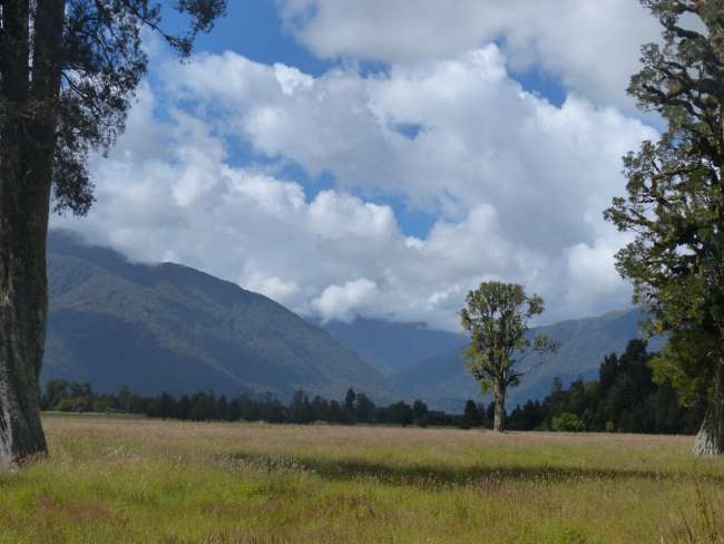 On the way to Lake Matheson - what a huge plain