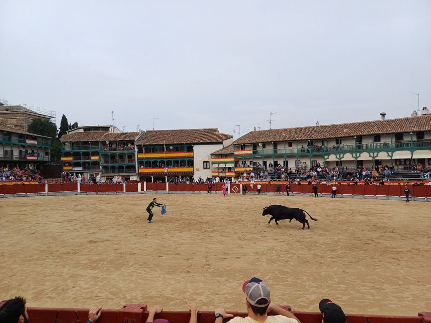 In the arena