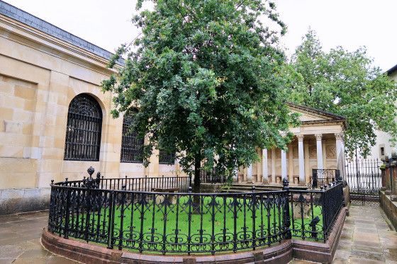 Parlamentsgebäude mit Eiche neu, alte ist eingegangen