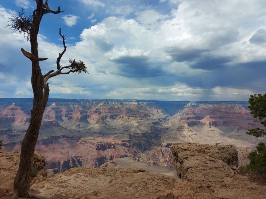 Day 10: From Route 66 to the Grand Canyon